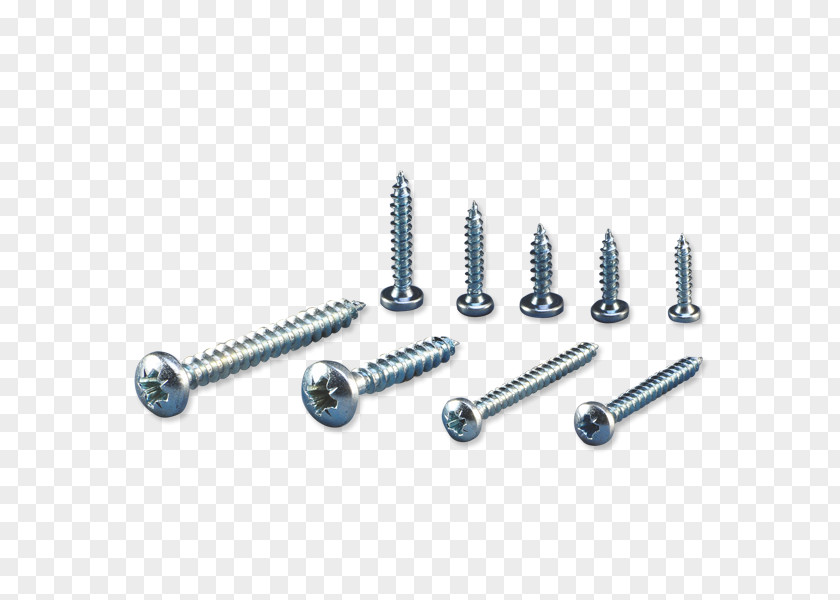 Screw Particle Board Fastener India PNG