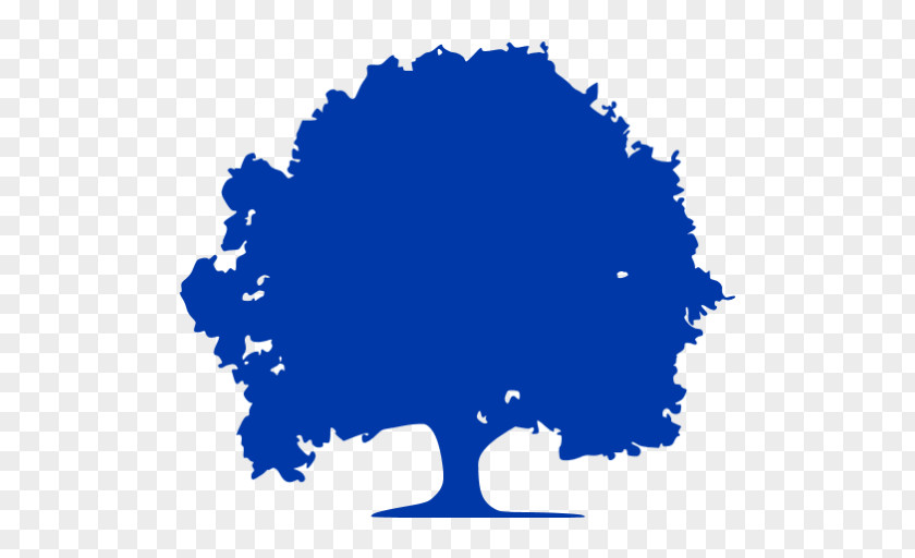 Tree Europe Clip Art PNG