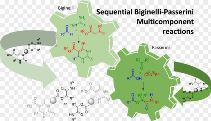 Biginelli Reaction Multi-component Beilstein Journal Of Organic Chemistry Chemical PNG