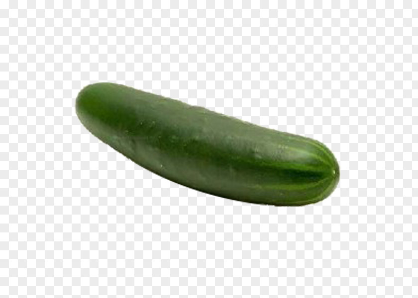 Cucumber Pickled Vegetable Fruit Seed PNG