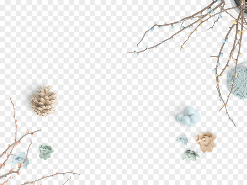 Dried Flowers Background Border Effect Element Mockup Cosmetics Logo Graphic Design PNG