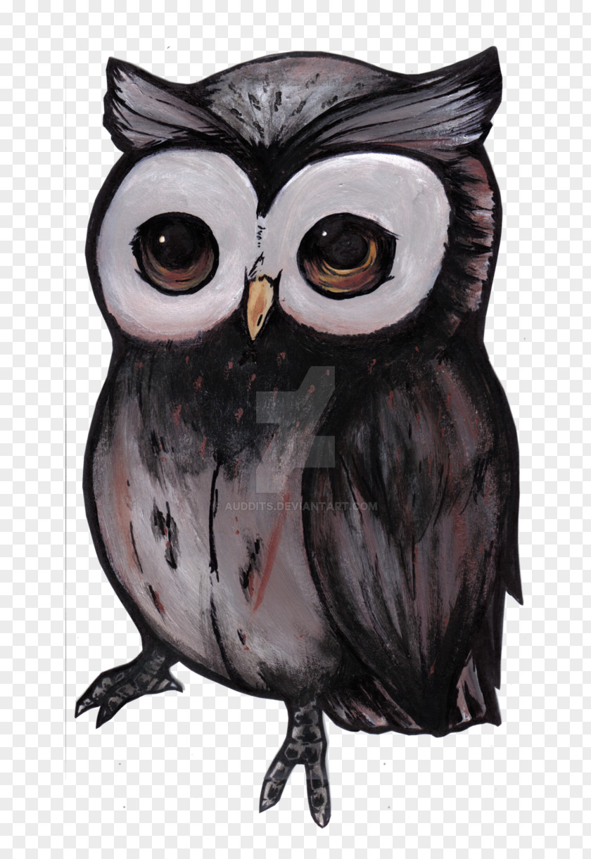 Owl Drawing Painting Digital Art DeviantArt PNG