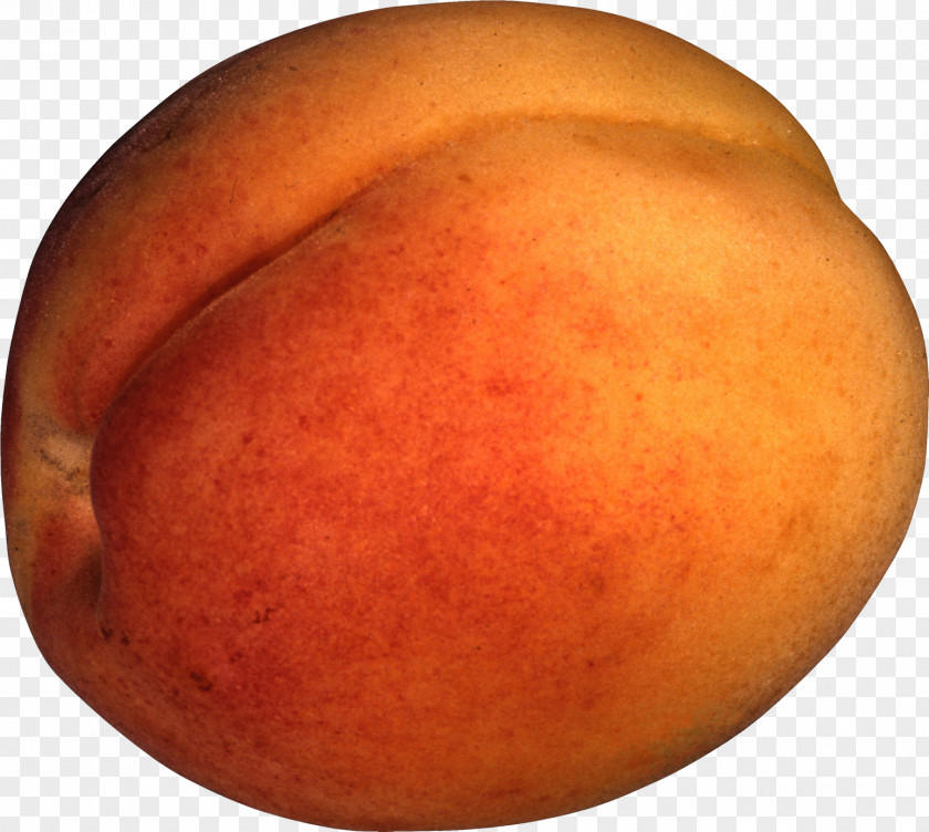 Apricot Clip Art Nectarine Fruit PNG