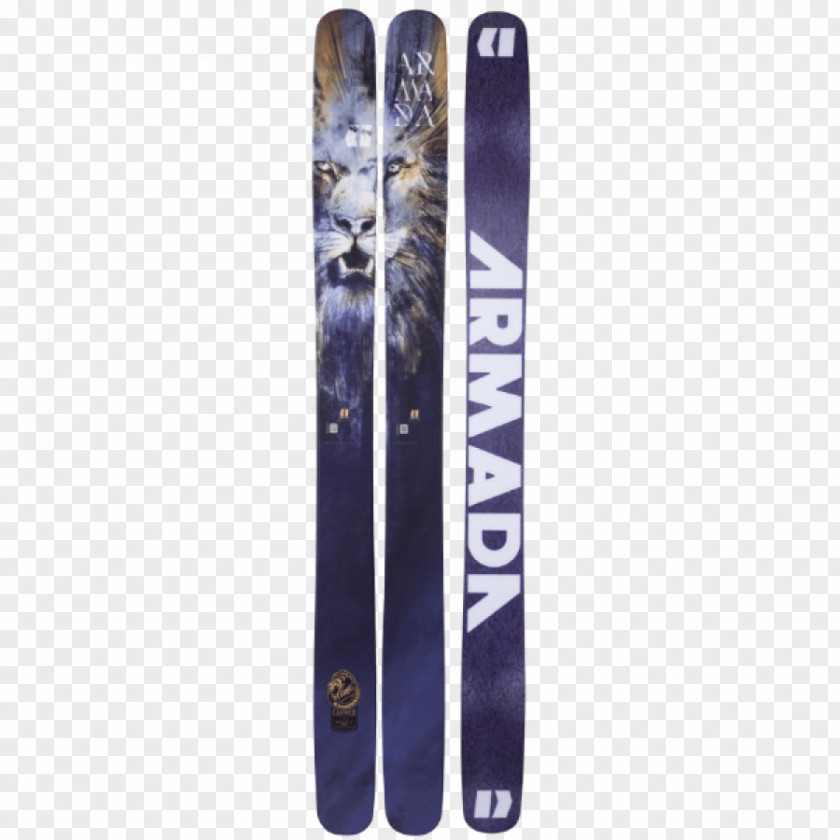 Armada TST (2015/16) Ski Poles Alpine Skiing PNG