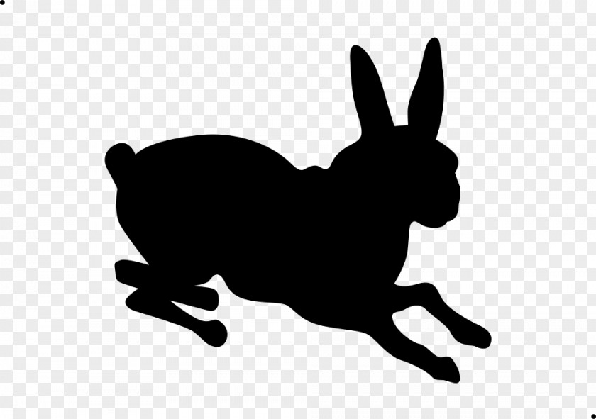 Dog Domestic Rabbit Horse Hare Mammal PNG