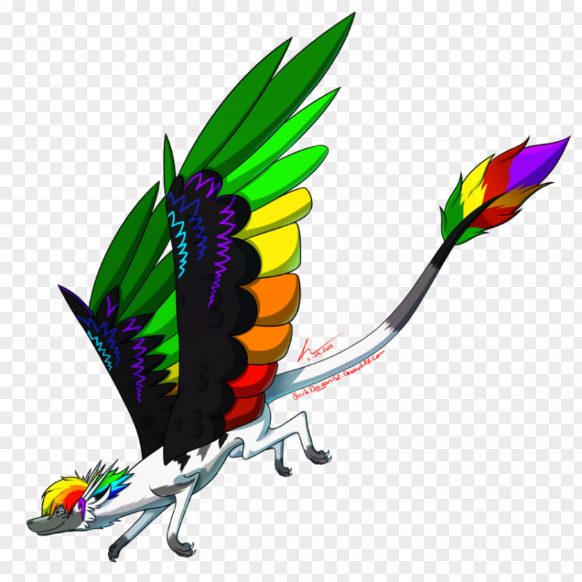 Double Rainbow Dragon Macaw Parakeet Feather Pet Beak PNG