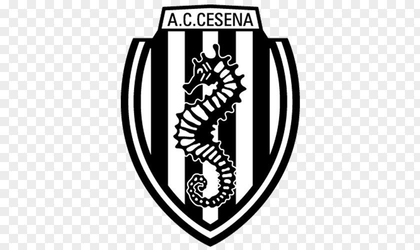 Football A.C. Cesena Under-19 Serie B A PNG