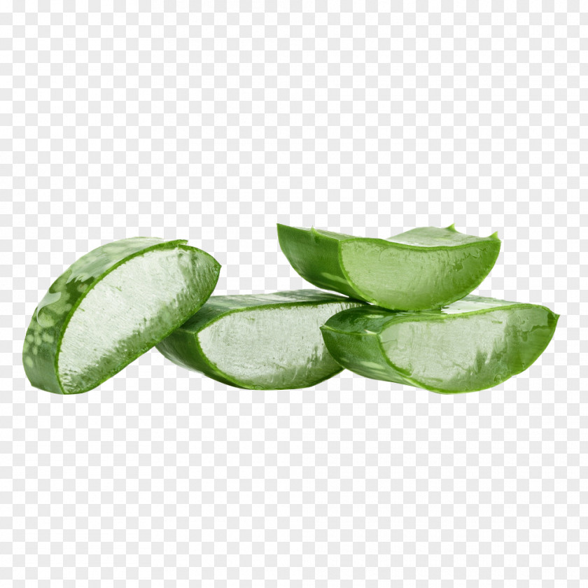 Fresh And Healthy Aloe Vera Gel Taobao Plant Green PNG