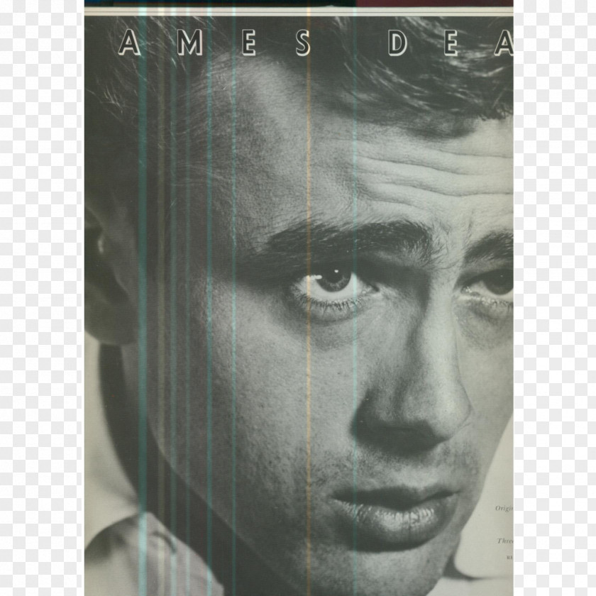 James Dean Surviving Real Dean: Intimate Memories From Those Who Knew Him Best The Biography PNG