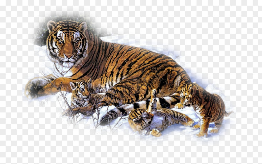 Painting Cross-stitch Paint By Number Oil White Tiger PNG