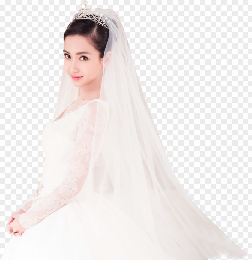 Bride Wedding Dress Veil Headpiece PNG