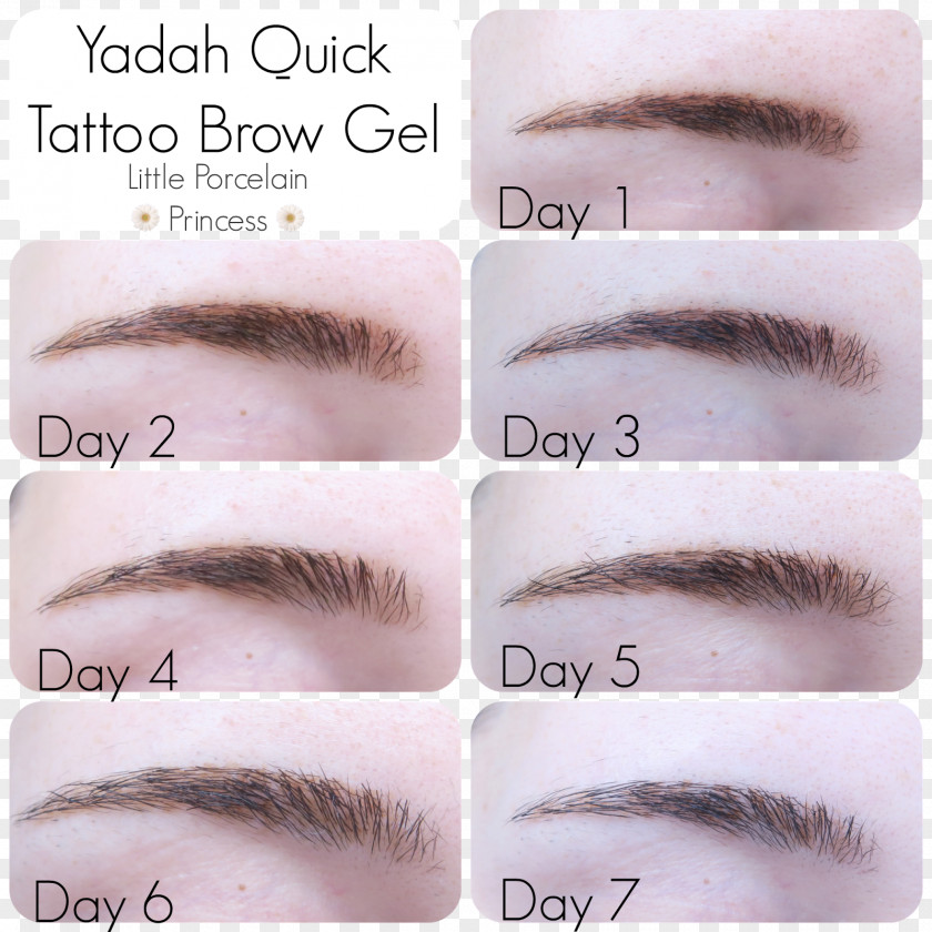 Hair Eyebrow Eye Shadow Tattoo Color Permanent Makeup PNG