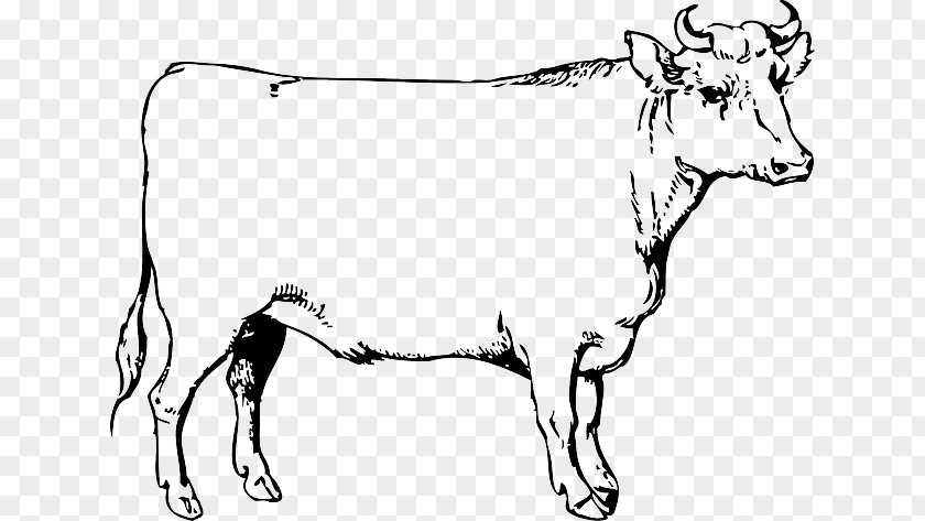 Male Cartoon Ox Cattle Clip Art PNG