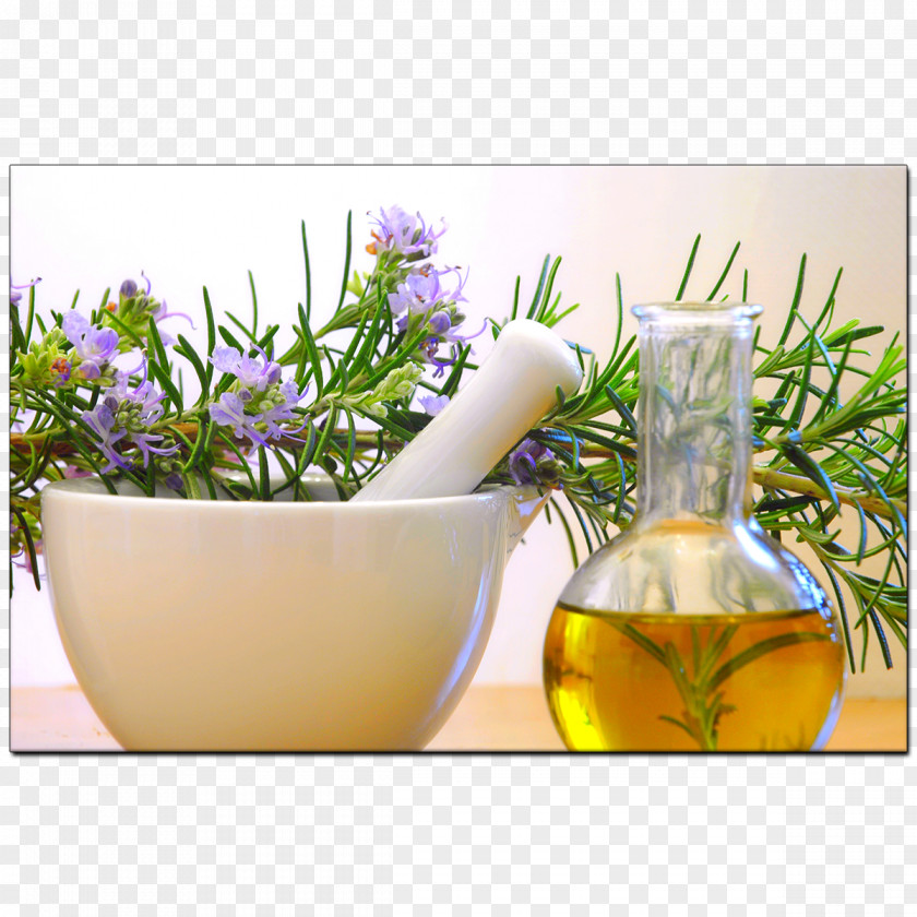Pestle Essential Oil Rosemary Aromatherapy PNG