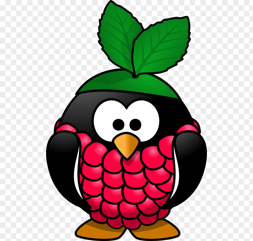 Raspberry Penguin Pi Clip Art PNG