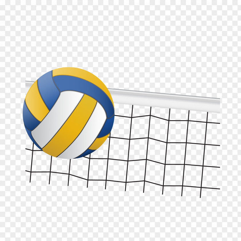 Volleyball And Net Vector Team Sport PNG