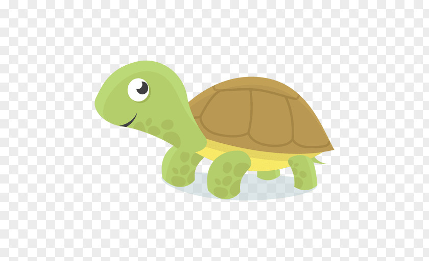 Baby Toys Sea Turtle Drawing PNG