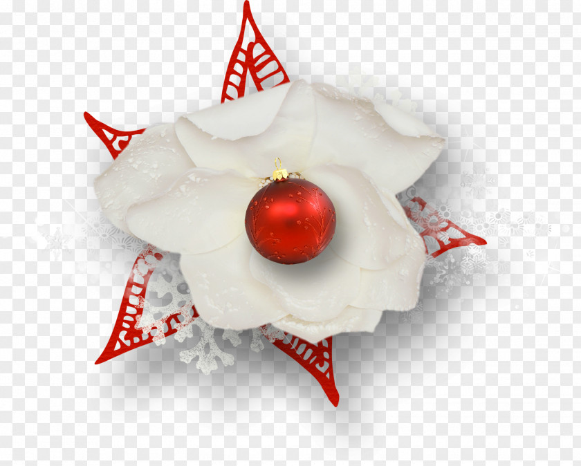 Chilli Christmas Ornament Close-up PNG
