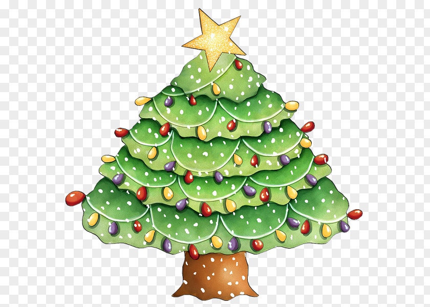 Christmas Tree Fir Spruce Pine PNG
