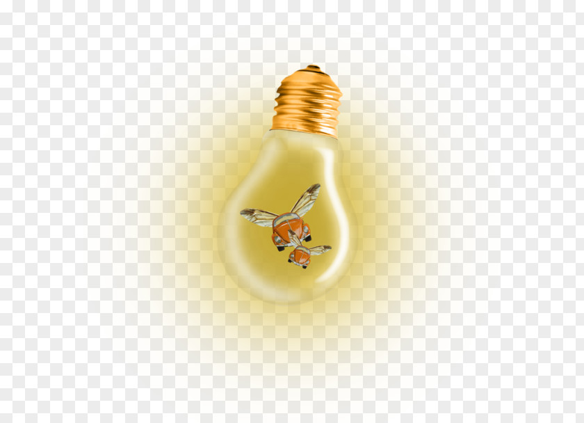 Incandescent Light Bulb Blog Fluorescent Lamp PNG