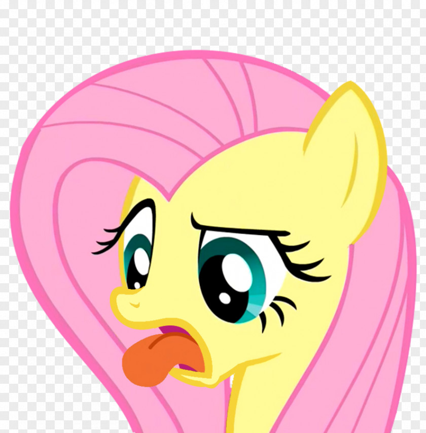 My Little Pony Fluttershy Rainbow Dash Derpy Hooves PNG