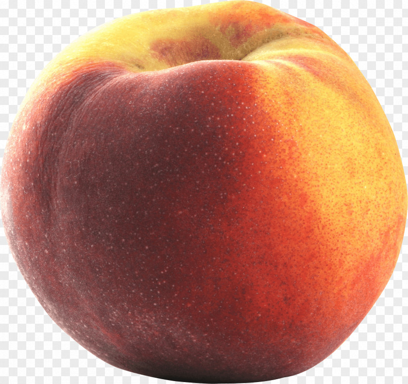 Nectarine Image Resolution Clip Art PNG