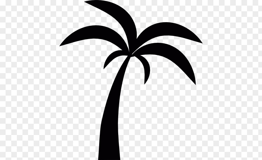 Paradise Vector Arecaceae Tree Clip Art PNG