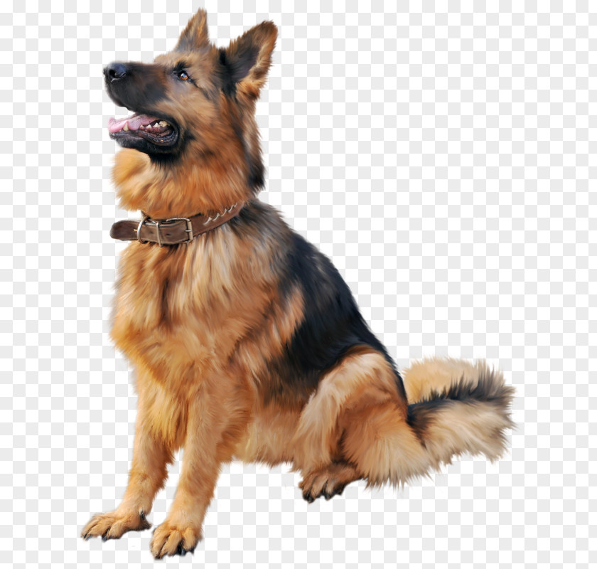 Puppy German Shepherd Rottweiler Beagle Dobermann PNG