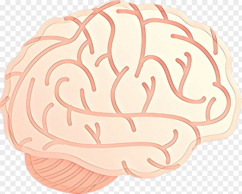 Dish Food Brain PNG