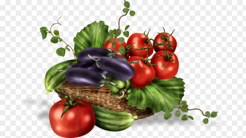 Ingredient Leaf Vegetable Drawing PNG