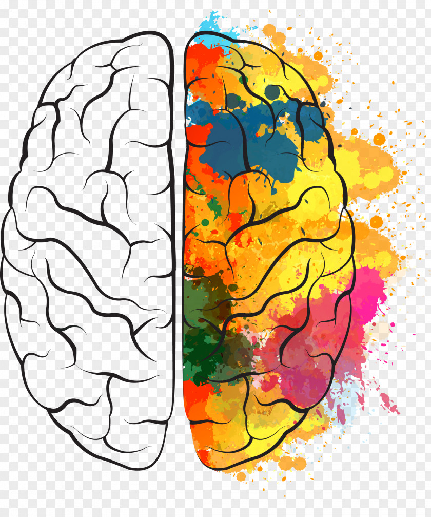 Painted The Brain Euclidean Vector Icon PNG