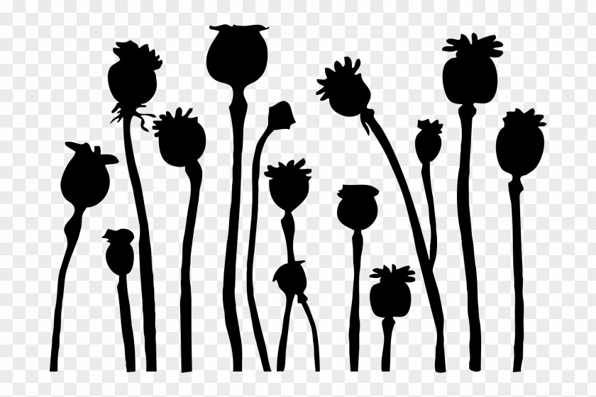 Poppy Stencil Silhouette Art Drawing PNG