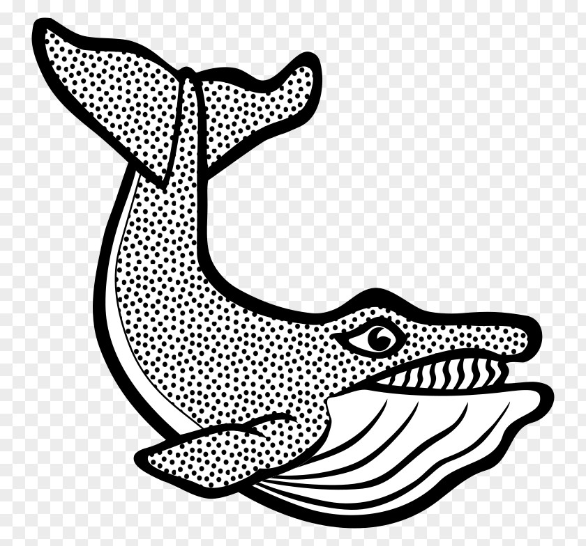 Whale Drawing Clip Art Cetacea Vector Graphics Image Blue PNG