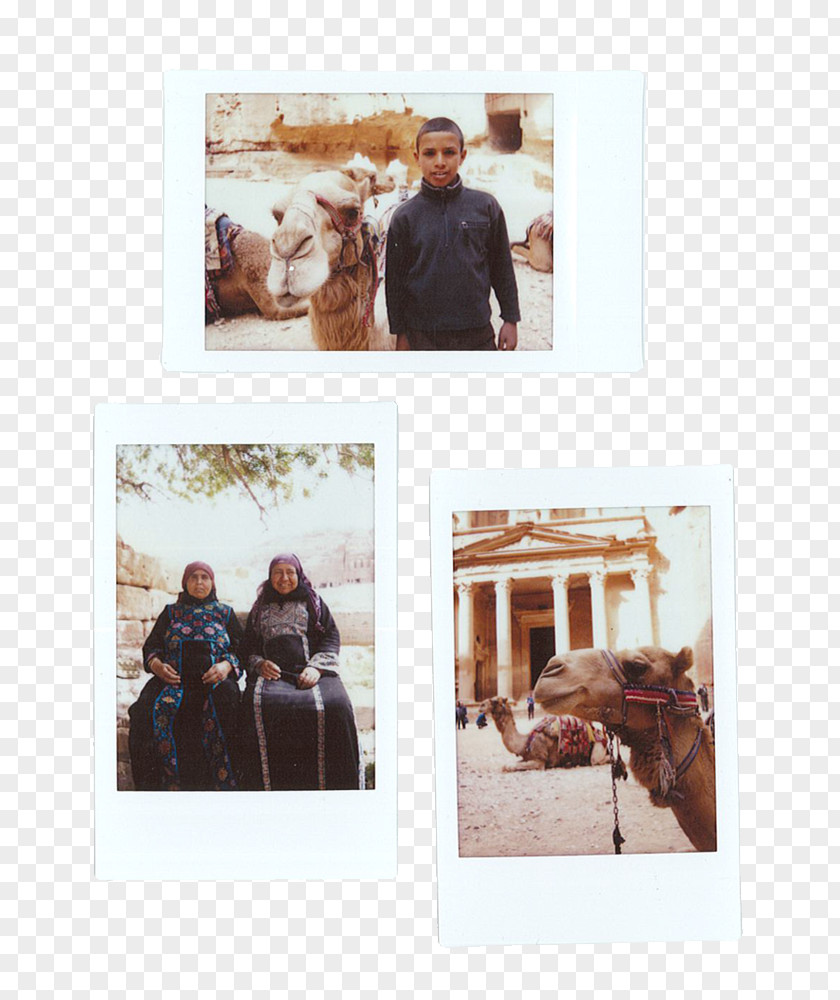 Bedouin Petra Picture Frames Stock Photography Winter PNG