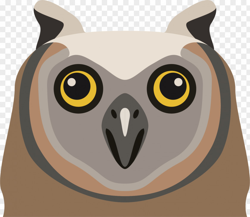 Cartoon Owl Vector Clip Art PNG