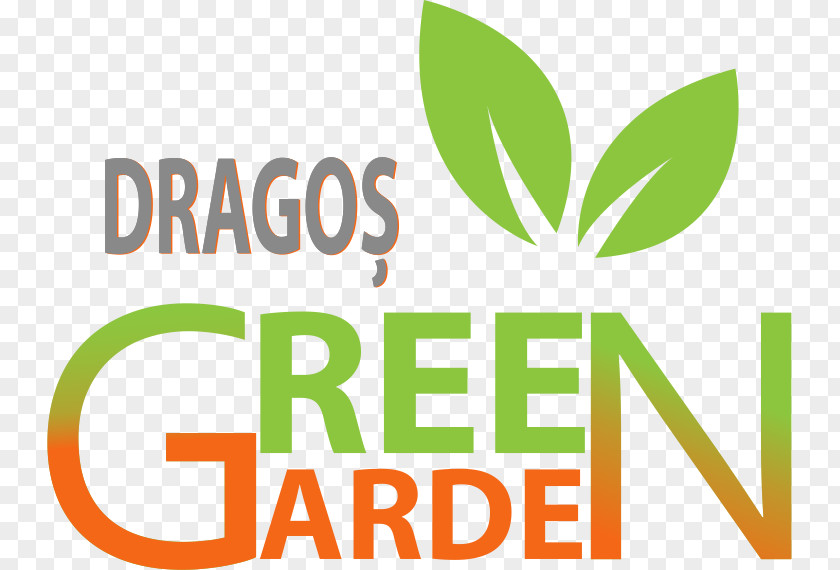 Green Garden Baia Mare Food Pasta Young Carer Brent Carers Centre PNG