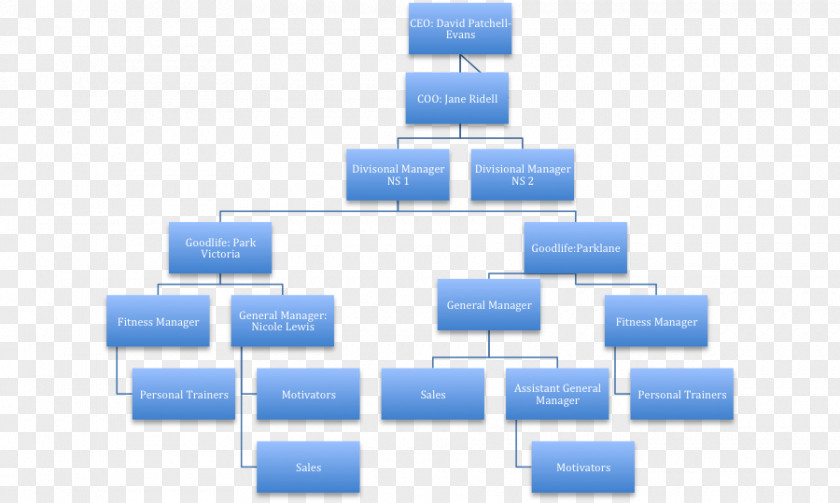 Hierarchical Organizational Structure Chart Fitness Centre GoodLife PNG