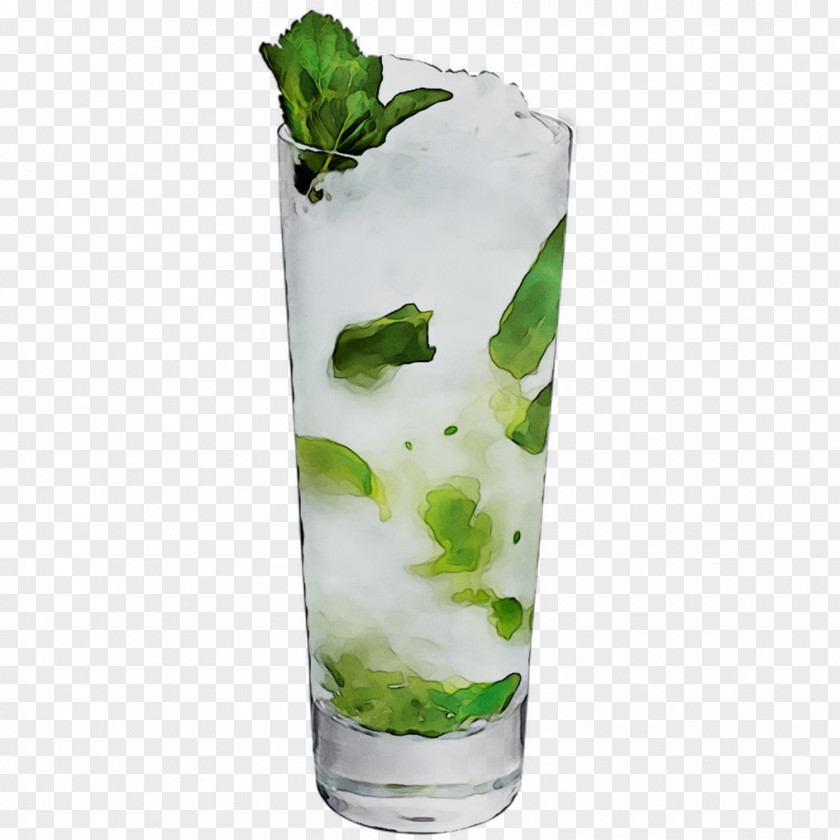 Mojito Rickey Rebujito Vodka Tonic Bacardi Cocktail PNG