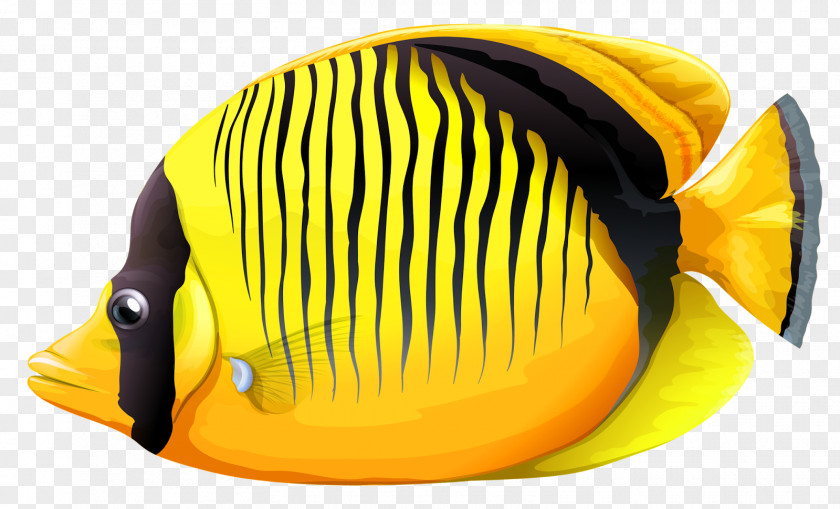 Nine Fish Lined Butterflyfish Vagabond Forceps Clip Art PNG