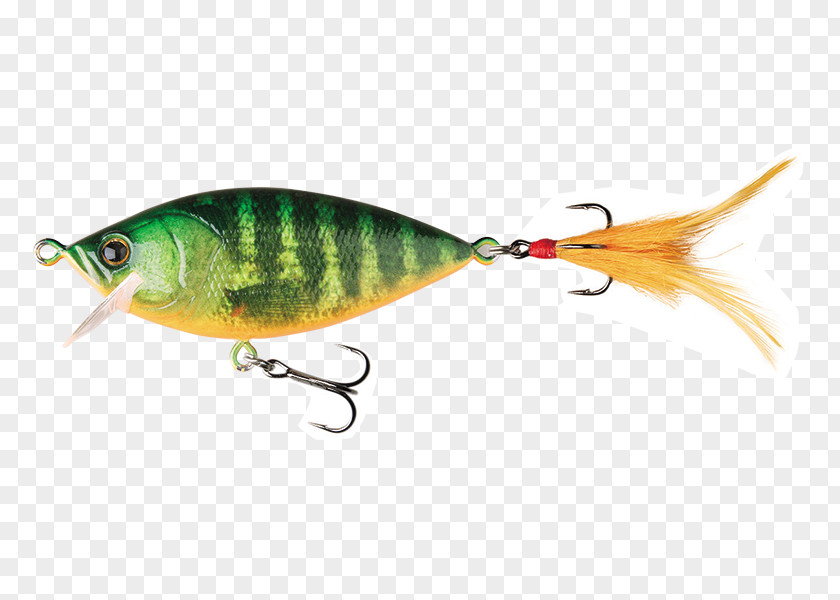 Orangebellied Parrot Spoon Lure Perch Fish AC Power Plugs And Sockets PNG