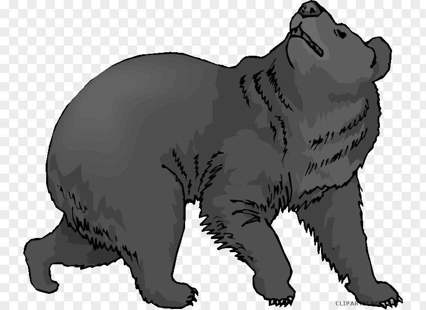Bear American Black Clip Art Grizzly Polar PNG