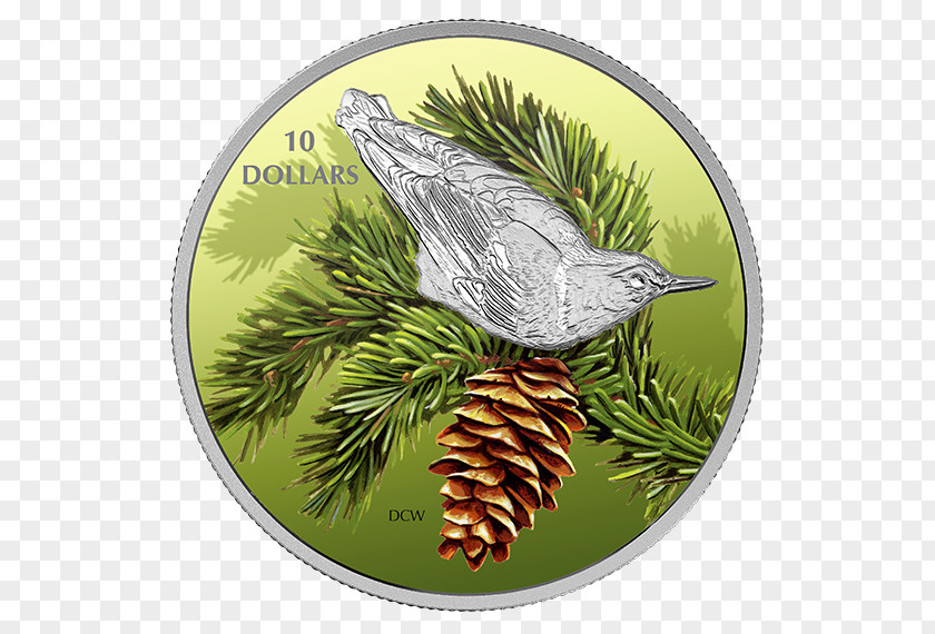 Bird Silver Coin Nuthatch PNG