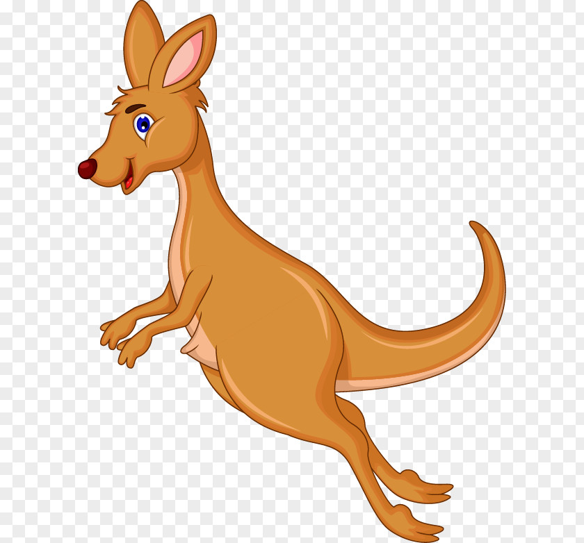 Kangaroo Rat Clip Art PNG