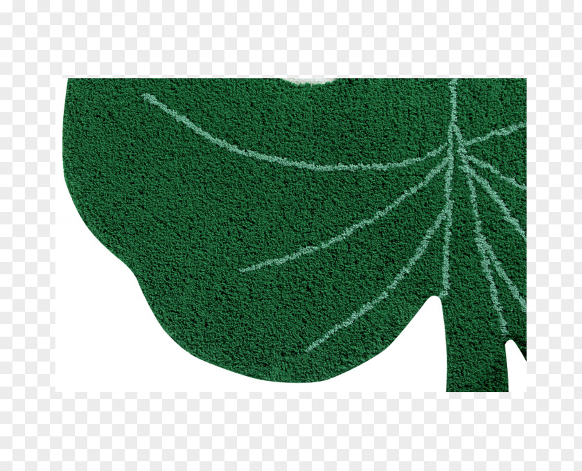 Leaf Swiss Cheese Plant Carpet Bedroom PNG