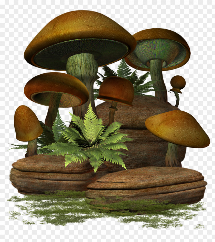 Mushroom Clip Art PNG
