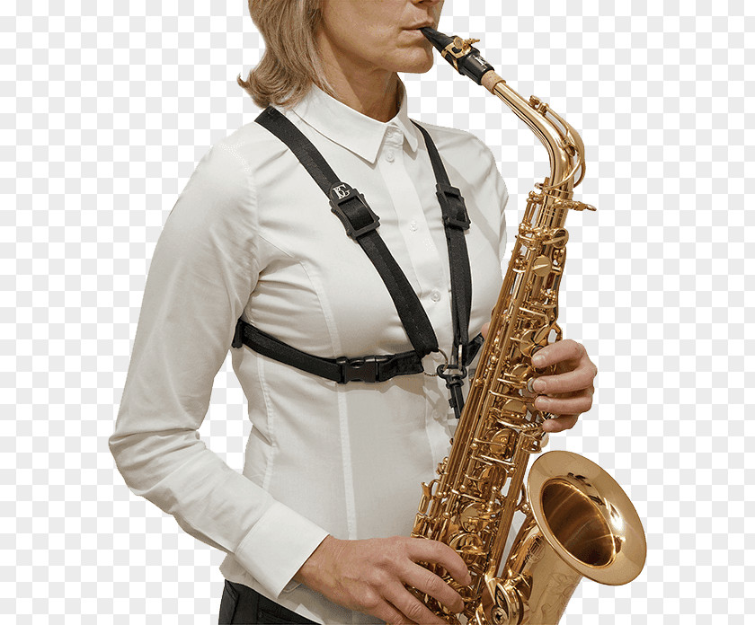 Saxophone Baritone Clarinet Tenor Alto PNG