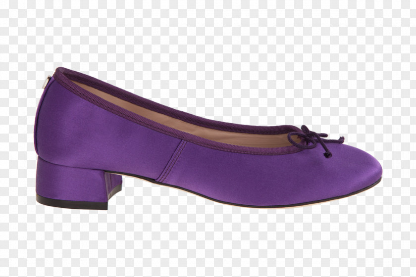 Design Ballet Flat Shoe PNG