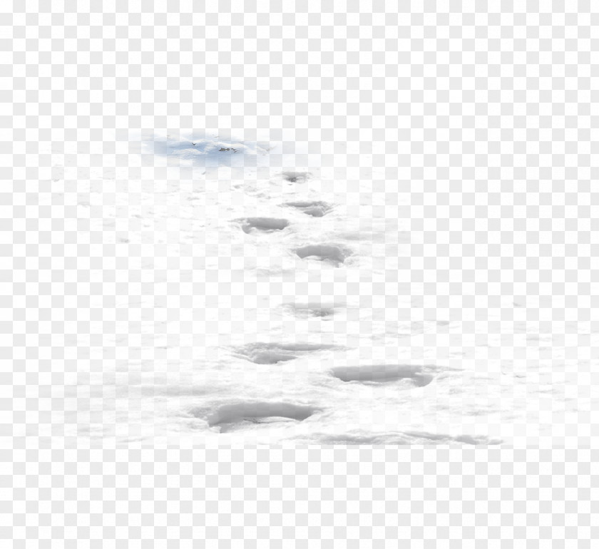 Footprints In The Snow White Black Area Pattern PNG