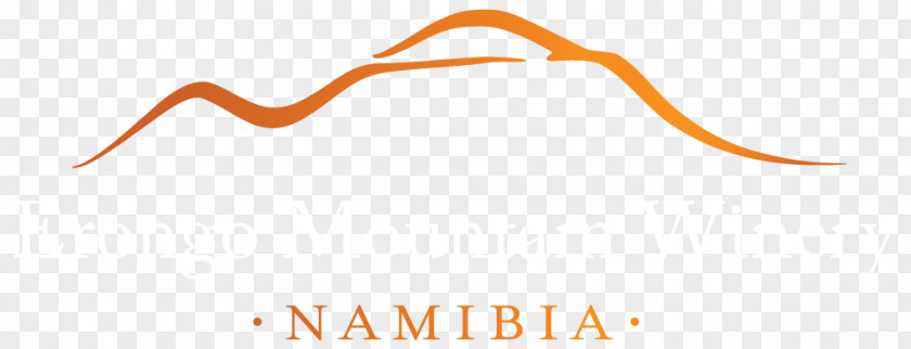 Namibia Logo Glasses Line Font PNG