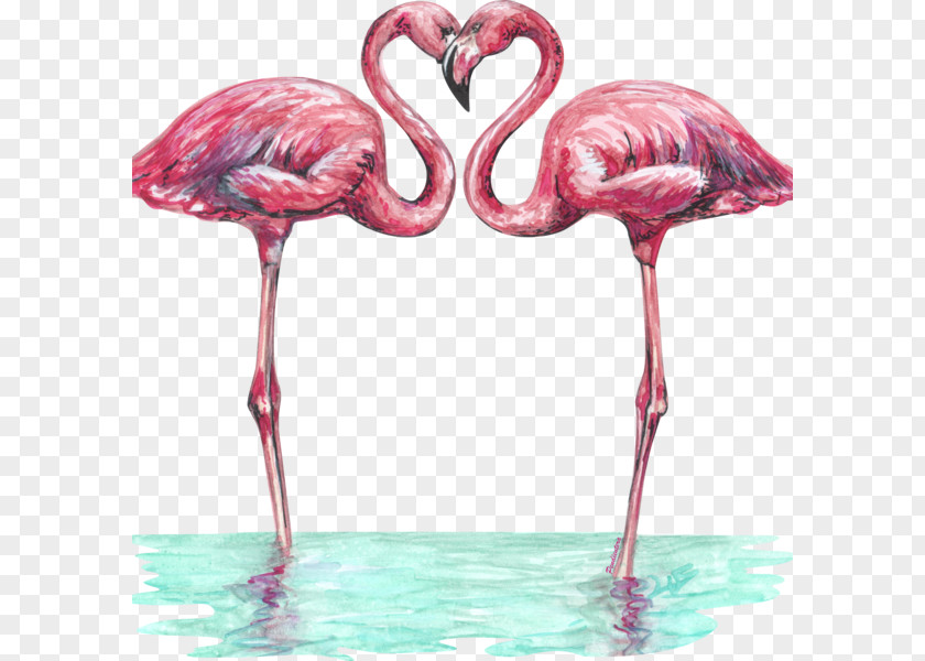 T-shirt Love Greater Flamingo Flamenco PNG